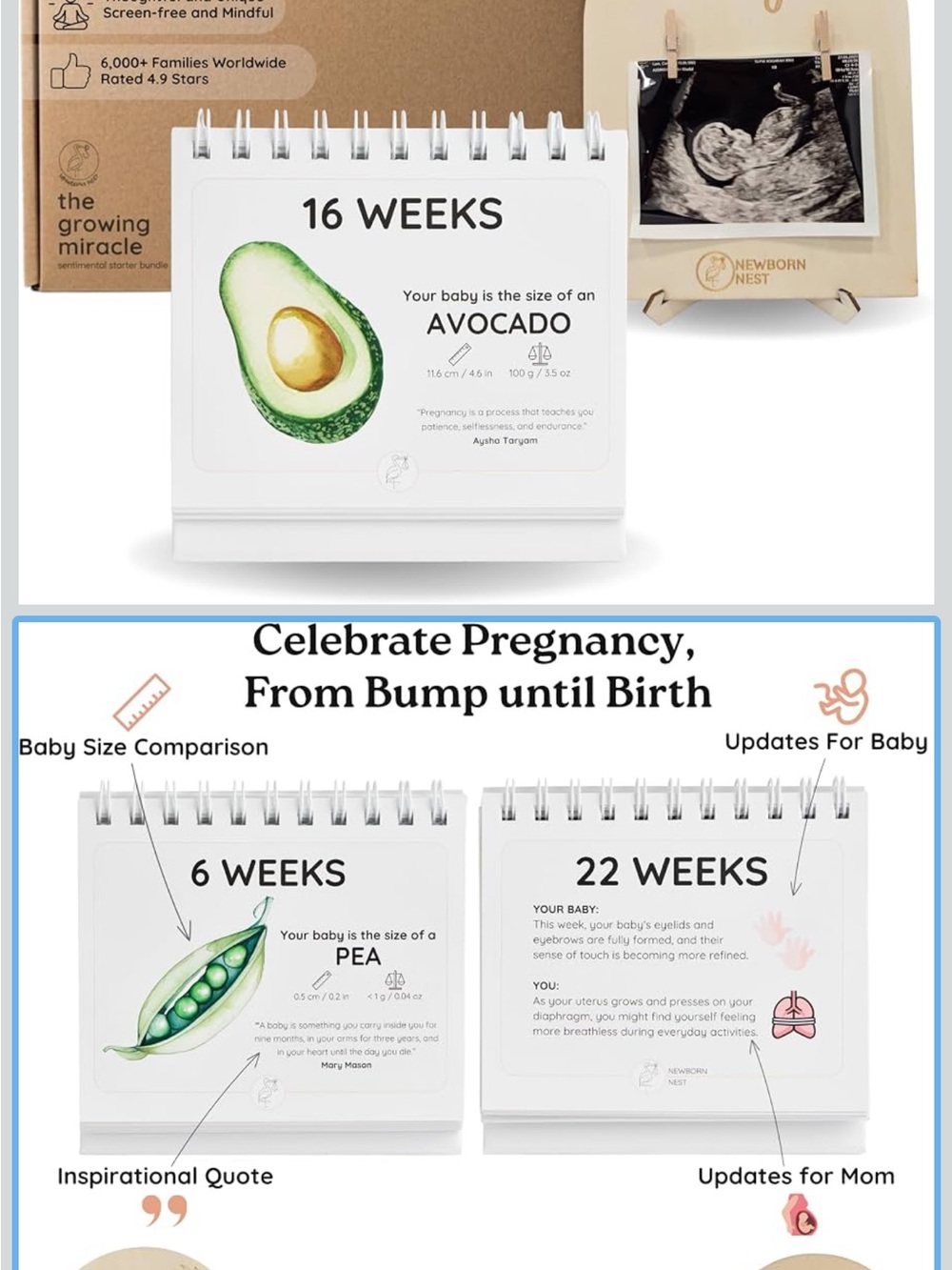 Newborn Nest calendar and ultrasound photo frame/welcome sign